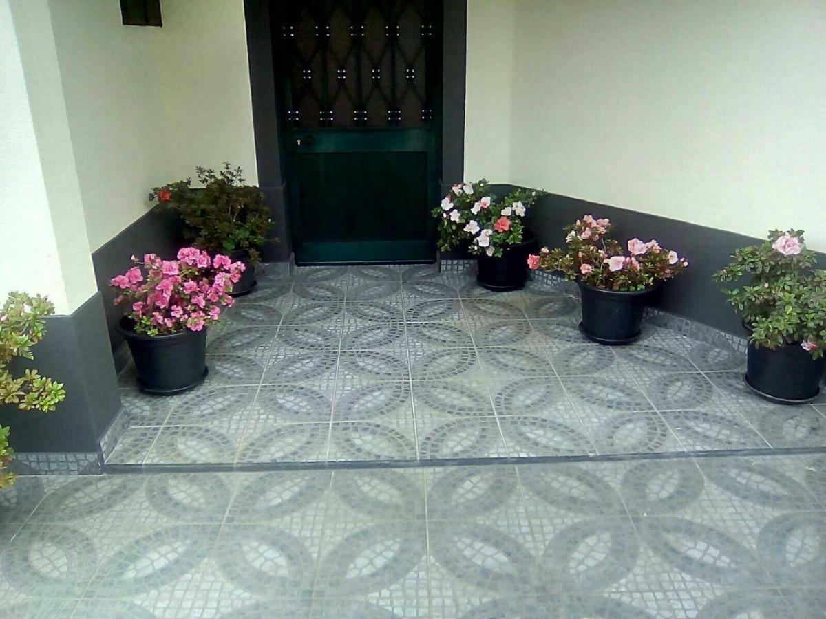 House Joel & Sonia Villa Funchal Dış mekan fotoğraf